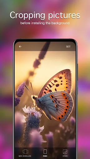 Butterfly Wallpapers 4K screenshot 4