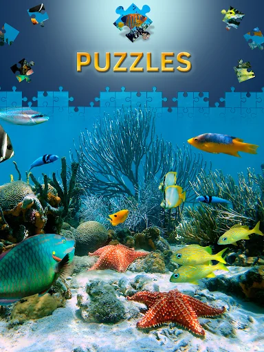 Free Dolphin Jigsaw Puzzles screenshot 4