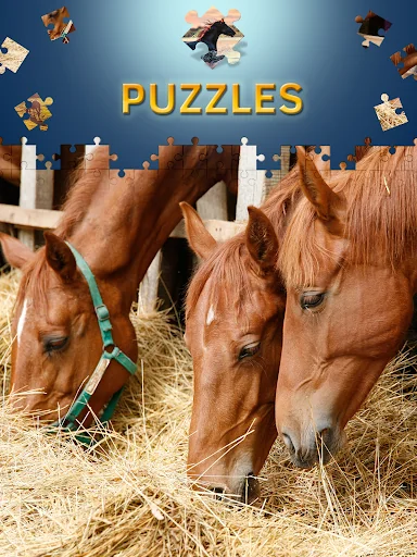 Horses Jigsaw Puzzles Free screenshot 3