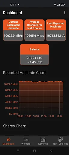 Nanopool Monitoring screenshot 2
