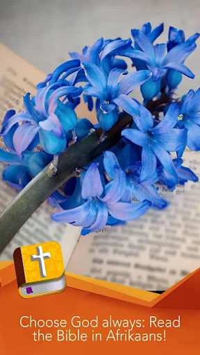Afrikaans Bible offline audio