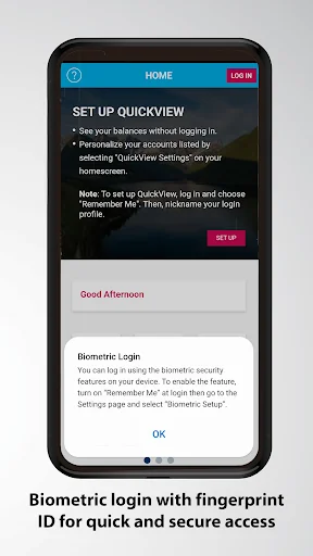 Envision Financial screenshot 2