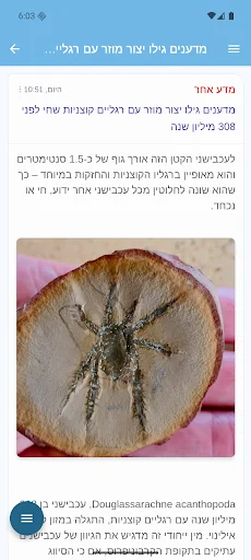 רוטר.נט screenshot 2