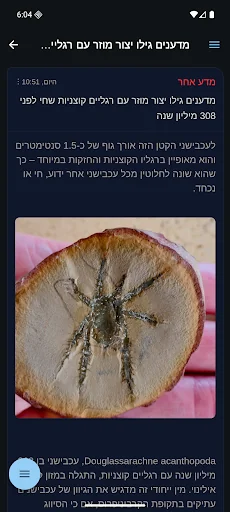 רוטר.נט screenshot 3