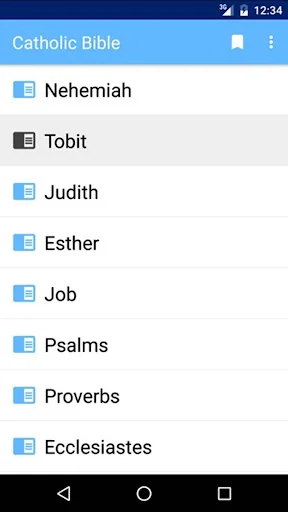 Catholic audio Bible offline screenshot 2