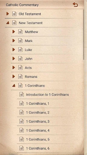 Catholic Bible Commentary screenshot 3