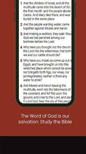 Catholic Bible Audio Offline screenshot 2