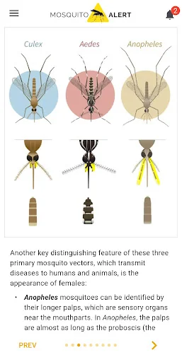 Mosquito Alert screenshot 4