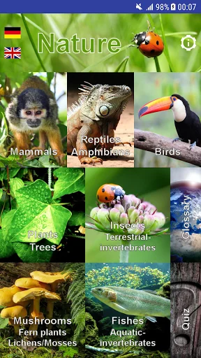 Nature My - South America