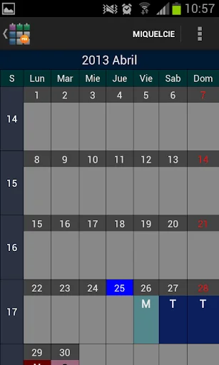 SaTurnos Pro Calendar screenshot 3
