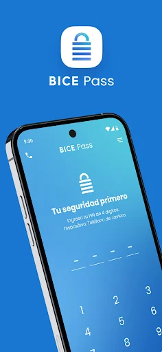 BICE Pass