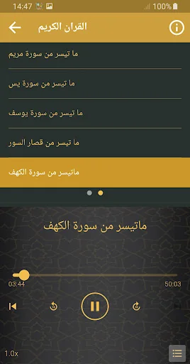 شيخ محمد الليثي القران الكريم screenshot 3