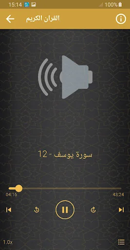 الحافظ خليل اسماعيل قران كريم screenshot 3