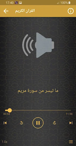 ياسر عبدالباسط تلاوات القران screenshot 3