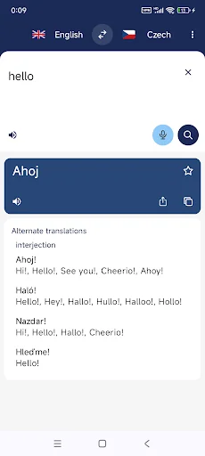 Czech English Translator