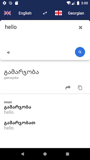 Georgian English Dictionary