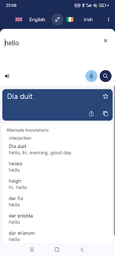 Irish English Translate