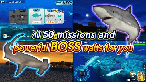 Wild Shark Fishing screenshot 4