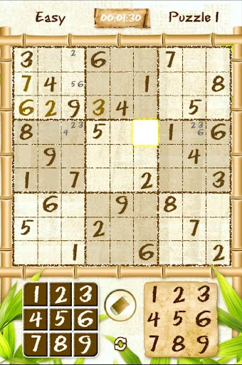 Real Sudoku