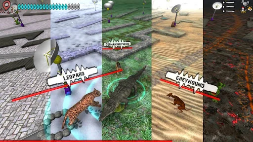 Spirit Animals Go!