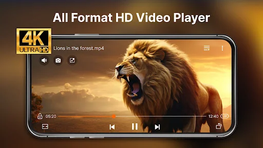 HD Video Player All Format
