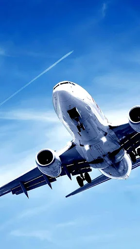 Airplane Live Wallpaper screenshot 3