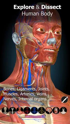 Anatomy Learning By Dr. Blanco screenshot 1