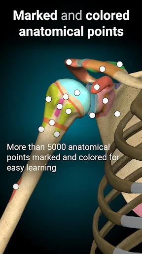 Anatomy Learning By Dr. Blanco screenshot 3
