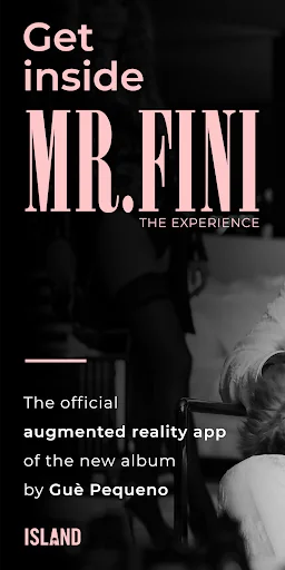 MR. FINI - The Experience