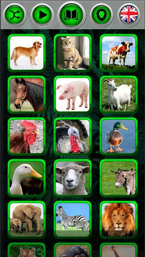 Animal sounds for babies