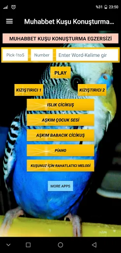 Muhabbet Kuşu Egzersizi