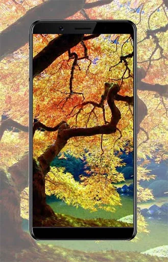 Autumn Wallpaper Ideas