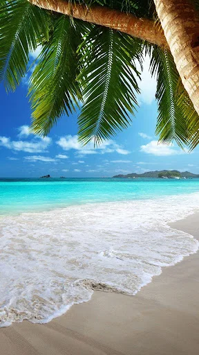Beach Live Wallpaper screenshot 2