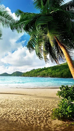 Beach Live Wallpaper screenshot 4