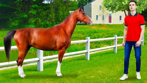 Horse Photo Editor and Frames screenshot 1