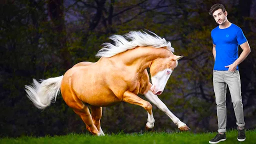 Horse Photo Editor and Frames screenshot 4