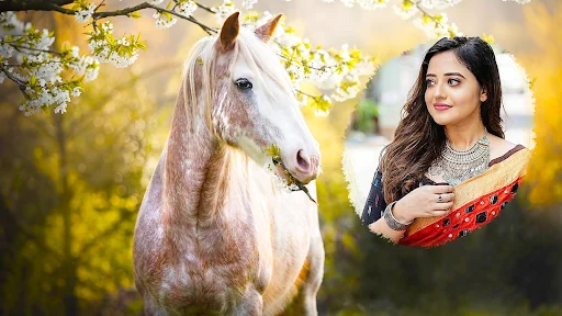 Horse Photo Editor and Frames