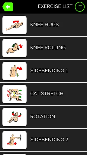 Lower Back Pain Exercises screenshot 2