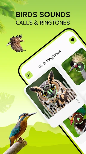 birds Sounds