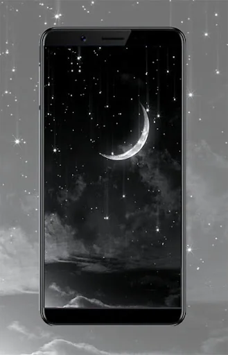 Black White Wallpaper