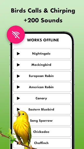 Bird Sounds, Calls & Ringtones