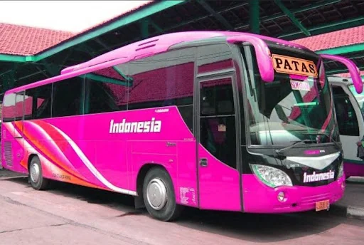 Bus Patas Wallpaper