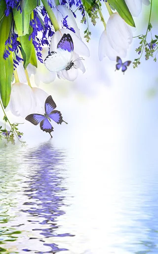 Butterfly Live Wallpaper screenshot 1