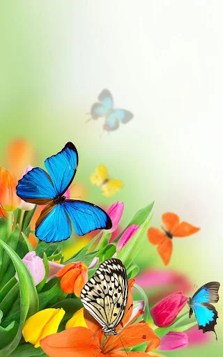 Butterfly Live Wallpaper screenshot 3
