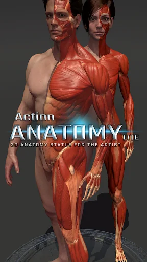 Action Anatomy Lite screenshot 1