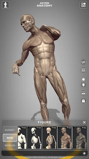 Action Anatomy Lite screenshot 2