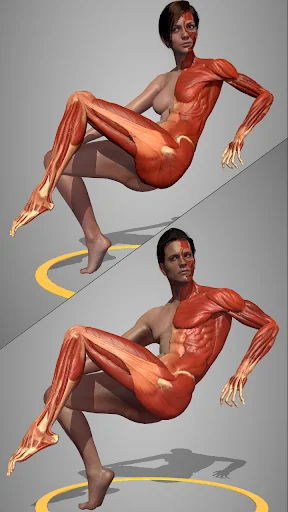 Action Anatomy Lite screenshot 3