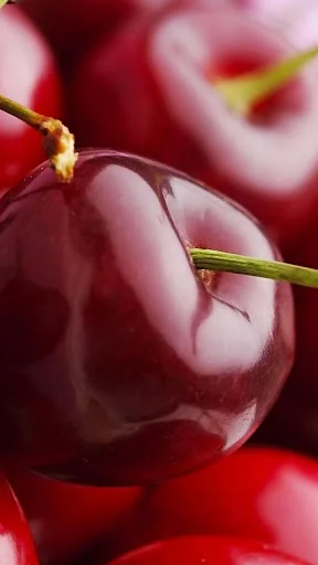 Cherry Live Wallpaper screenshot 1