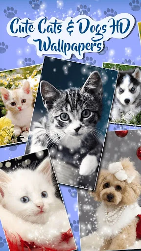 Cute Cat & Dog Live Wallpapers