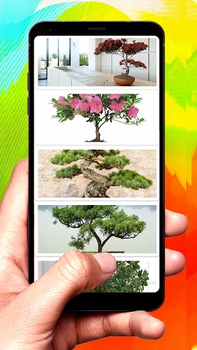 Bonsai Design Ideas